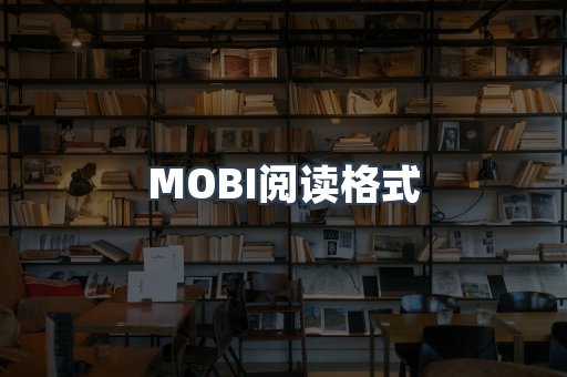 MOBI阅读格式